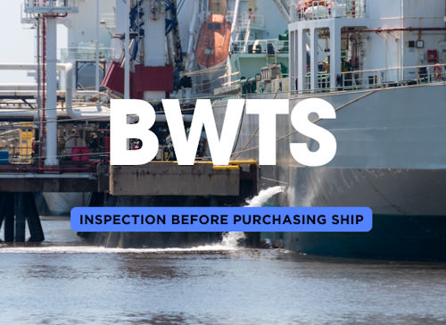 Inspecting the BWTS before Purchasing a Ship